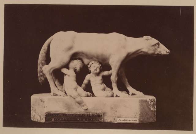 Formosa, Giuseppe Lorenzo — Anonimo sec. I a.C./ II - Romolo e Remo allattati dalla lupa — insieme